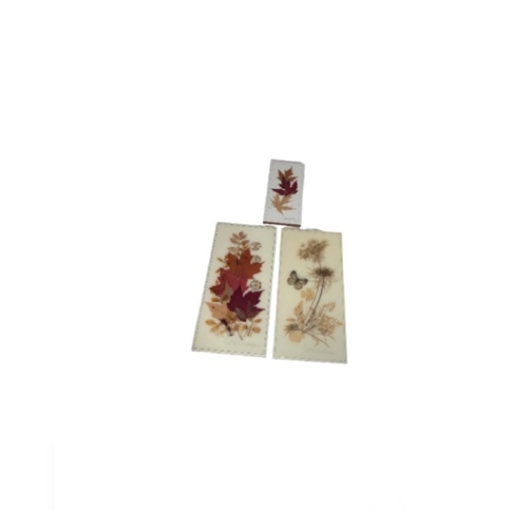 Vintage Handmade Pressed Leaves, Flowers, and Butterfly